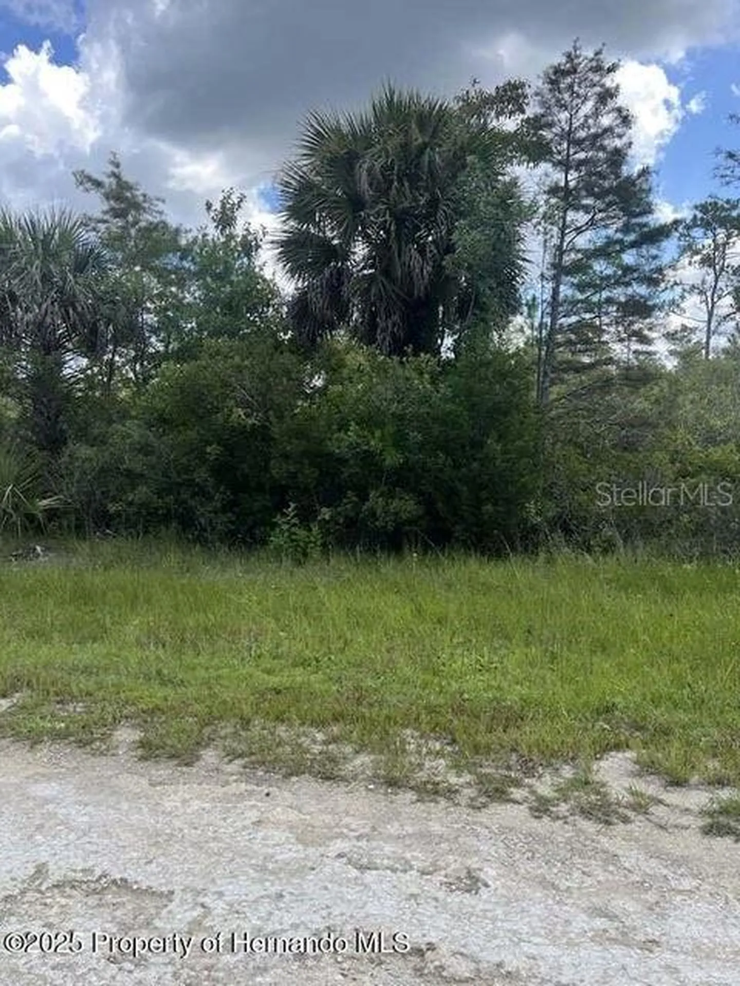 00 Ramsey Road Brooksville FL 34614