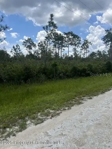 00 Ramsey Road Brooksville FL 34614