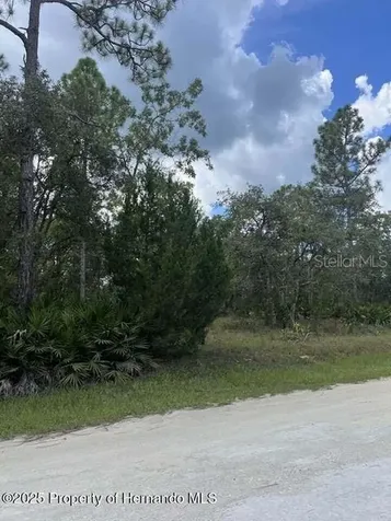 00 Ramsey Road Brooksville FL 34614
