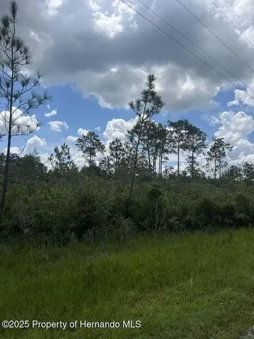 00 Ramsey Road Brooksville FL 34614