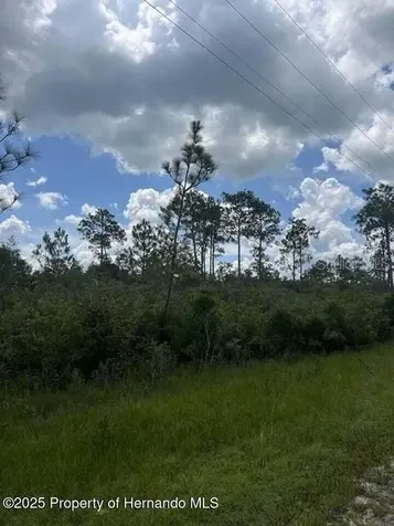 00 Ramsey Road Brooksville FL 34614