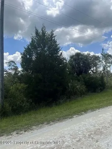 00 Ramsey Road Brooksville FL 34614