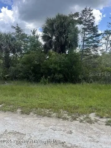 00 Ramsey Road Brooksville FL 34614