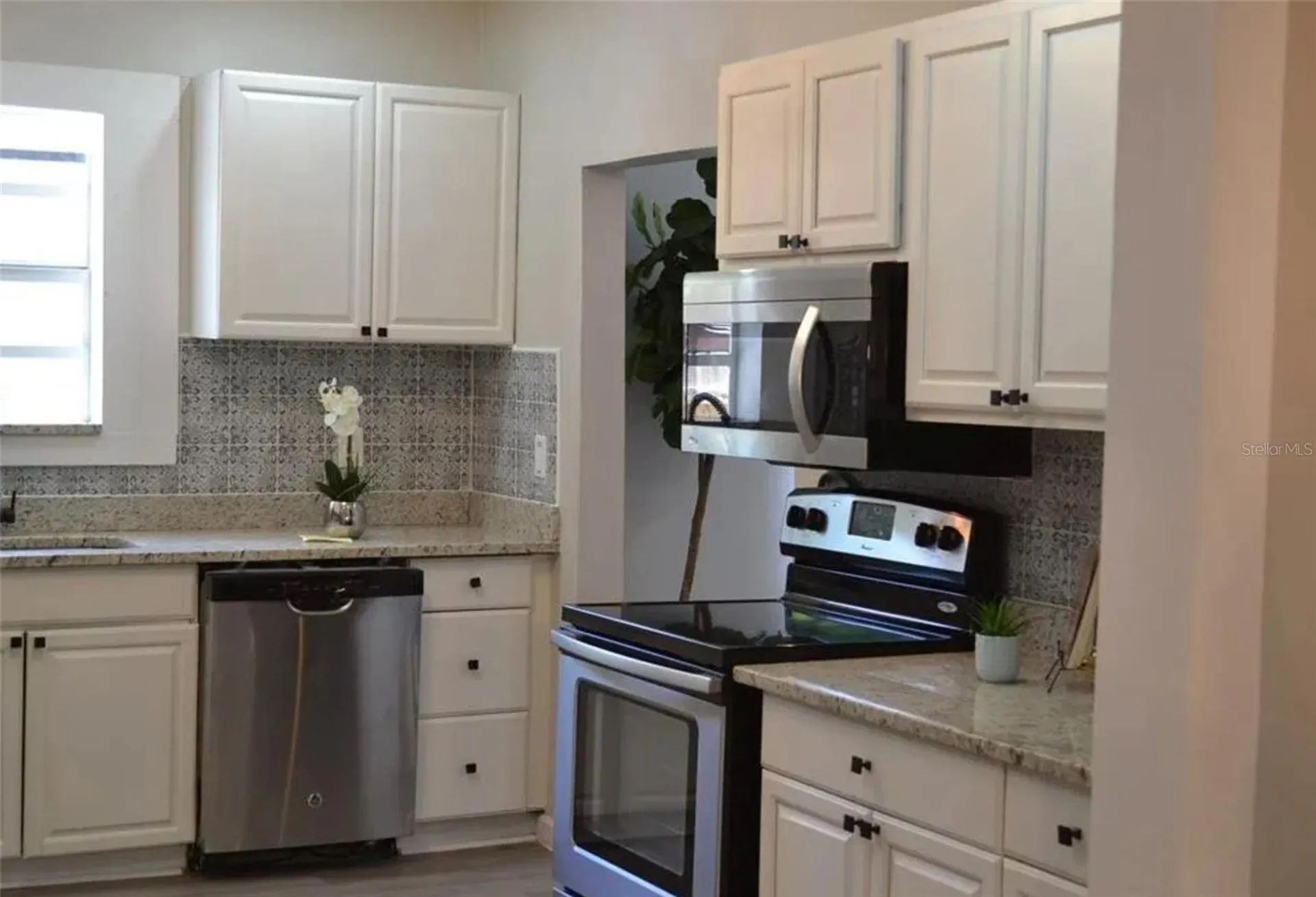 8010 N 11th Street Tampa FL 33604