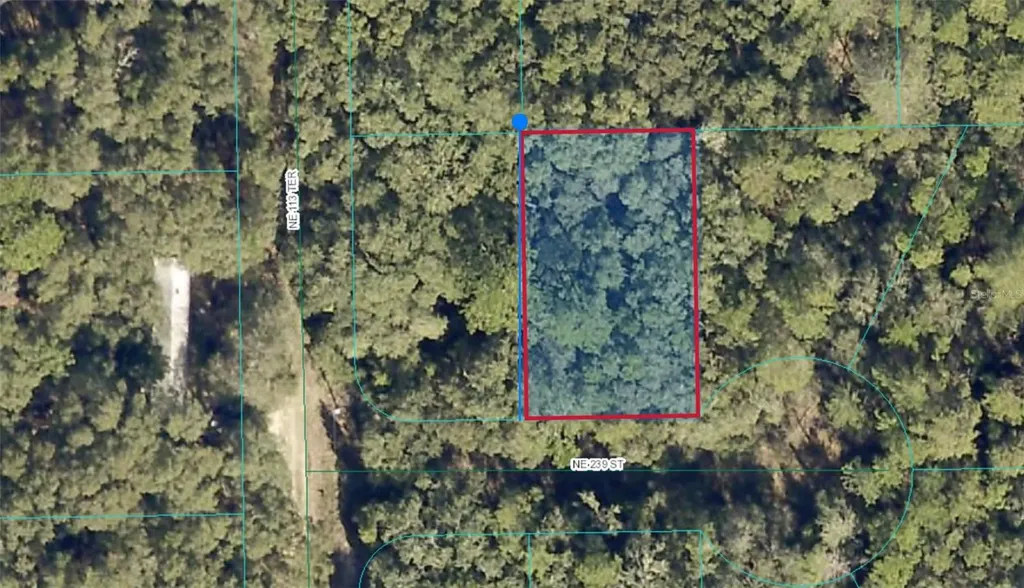 00 NE 239th Street Fort Mc Coy FL 32134