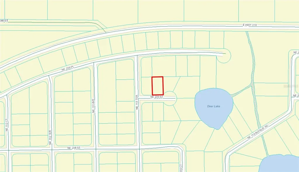 00 NE 239th Street Fort Mc Coy FL 32134