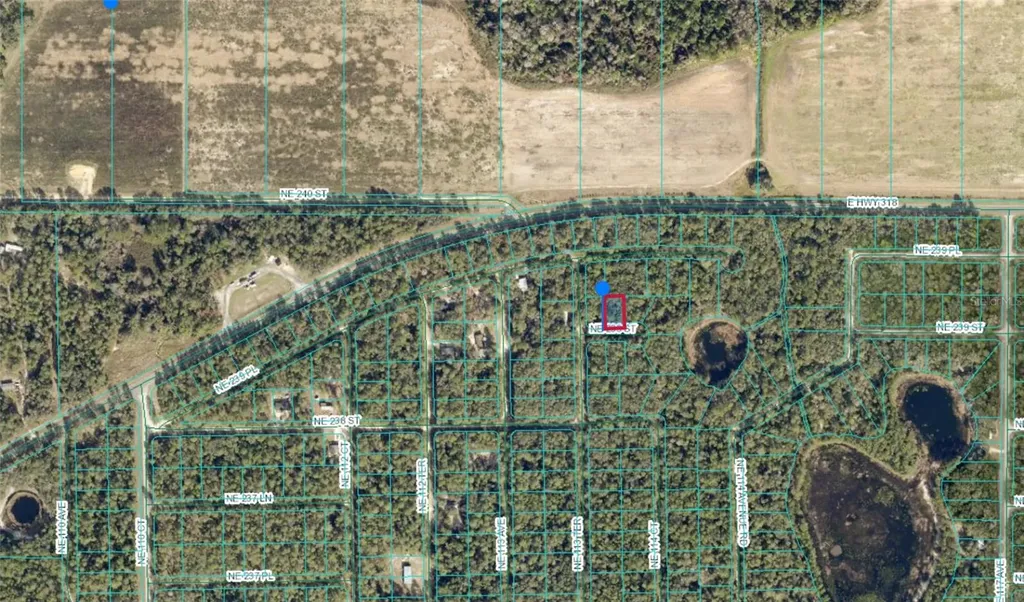 00 NE 239th Street Fort Mc Coy FL 32134