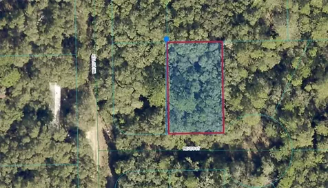 00 NE 239th Street Fort Mc Coy FL 32134