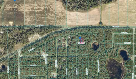 00 NE 239th Street Fort Mc Coy FL 32134