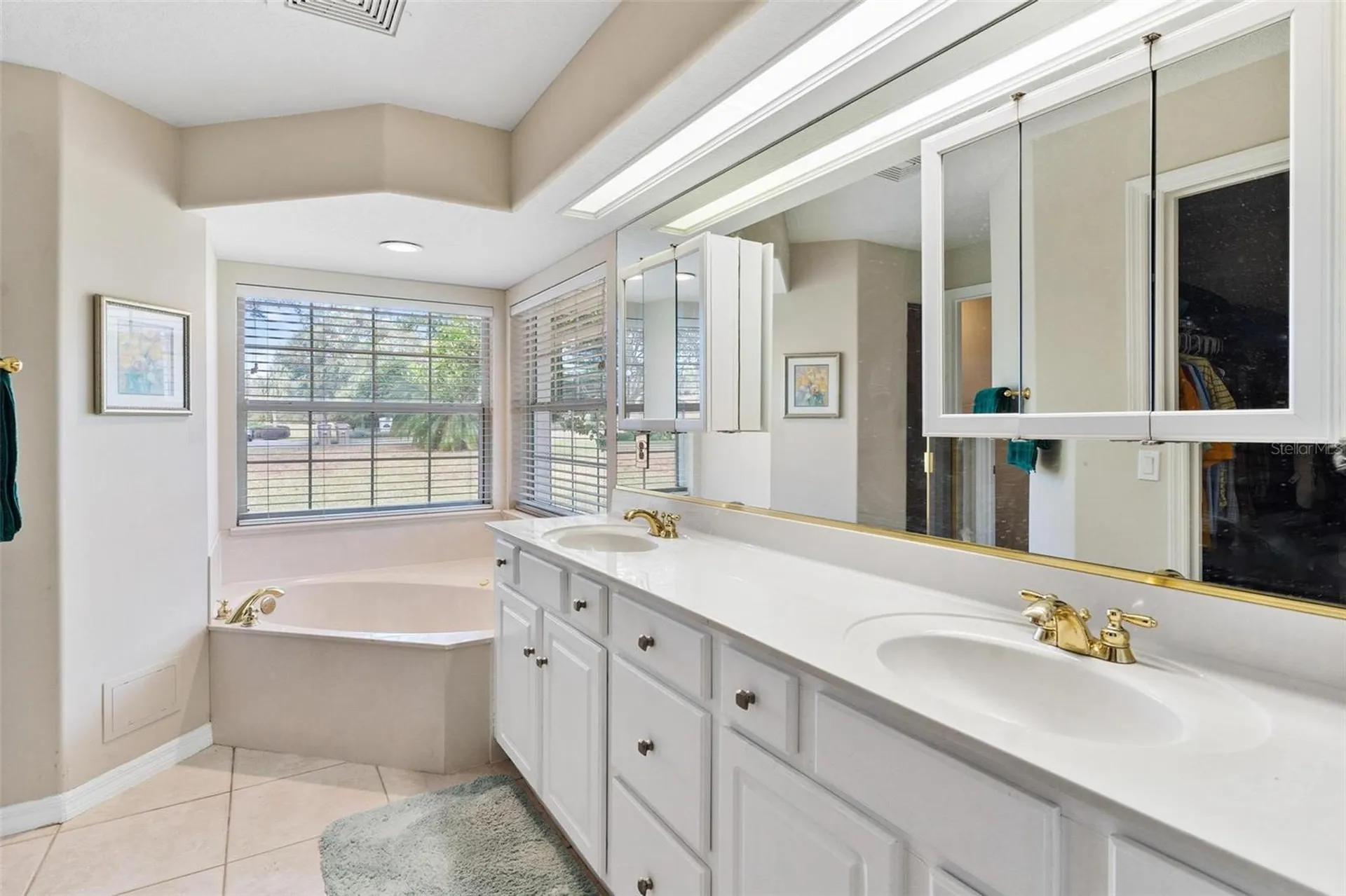 39320 Harbor Hills Boulevard Lady Lake FL 32159