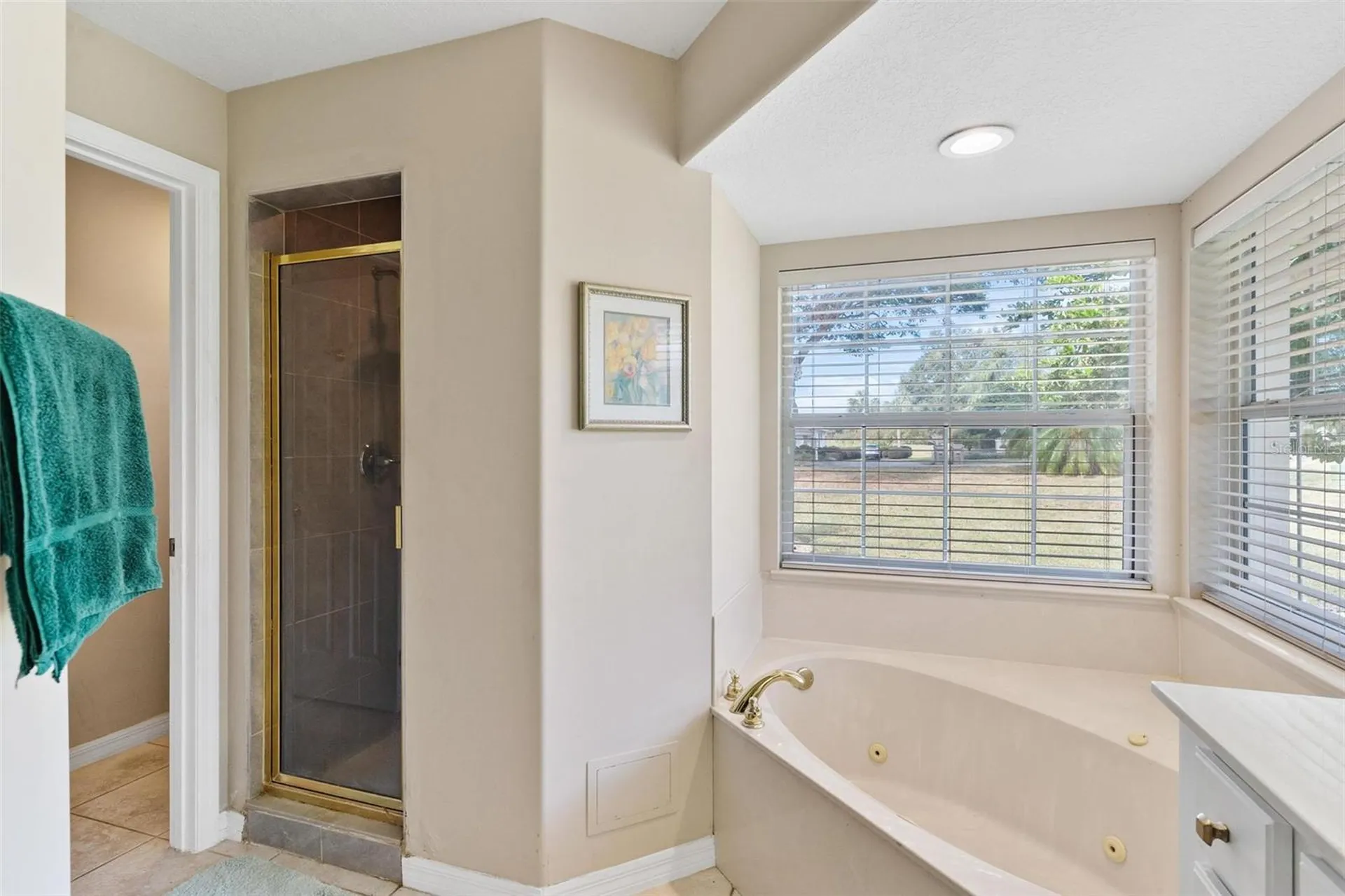 39320 Harbor Hills Boulevard Lady Lake FL 32159