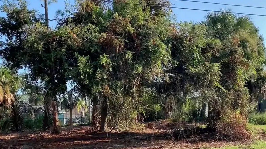 22394 Peachland Boulevard Port Charlotte FL 33954
