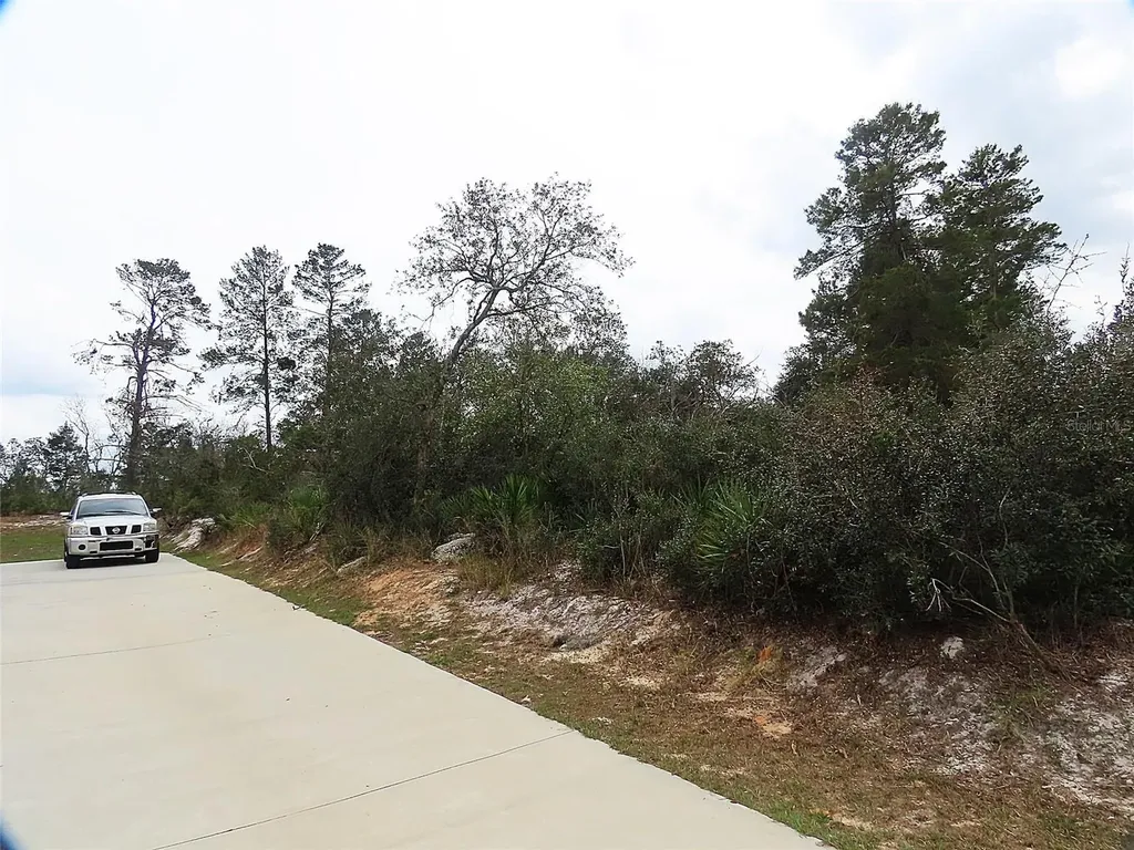 71 Orchid Court Kissimmee FL 34759