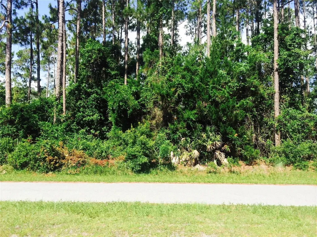 17 Kaufman Place Palm Coast FL 32164