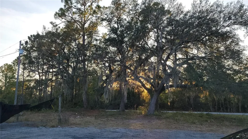 213 Clifton Road Crescent City FL 32112