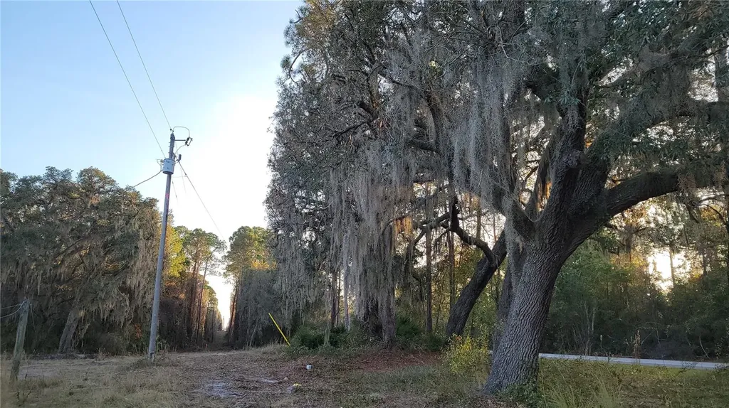 213 Clifton Road Crescent City FL 32112
