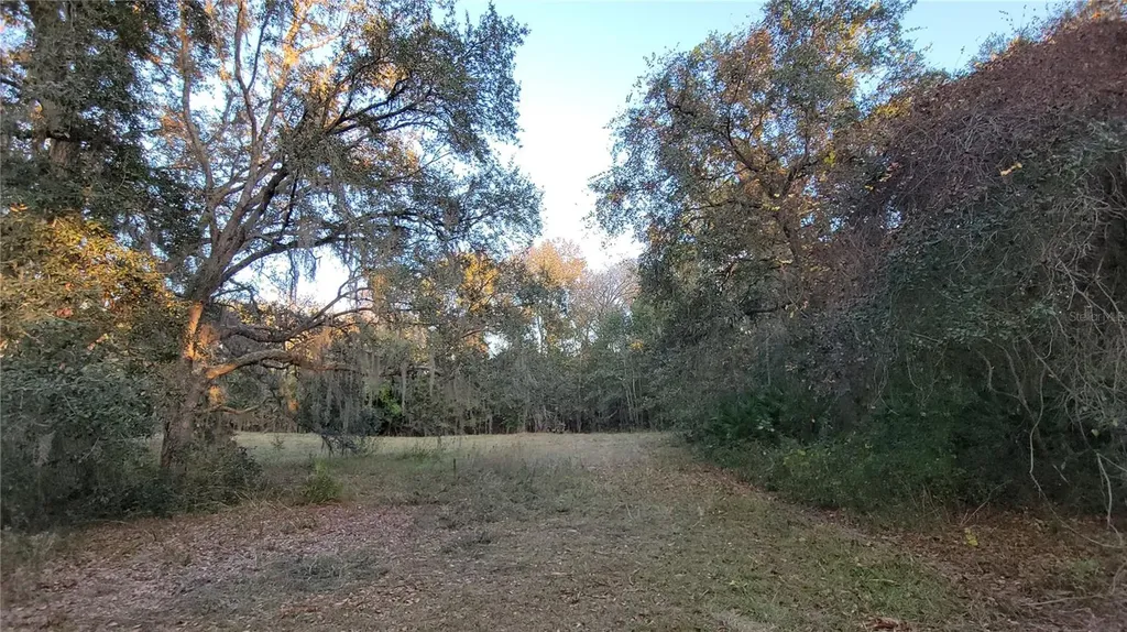 213 Clifton Road Crescent City FL 32112