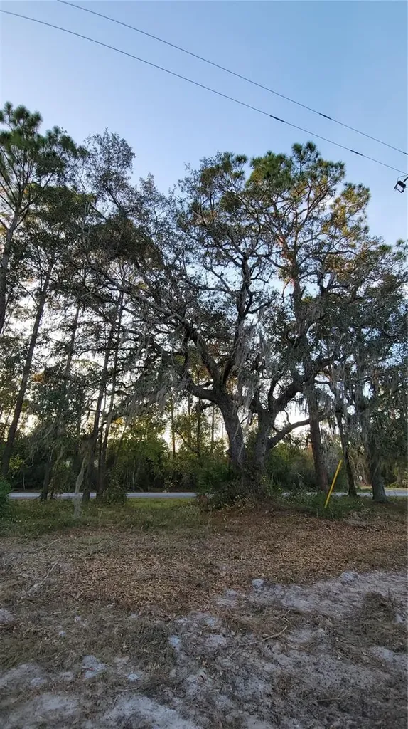 213 Clifton Road Crescent City FL 32112