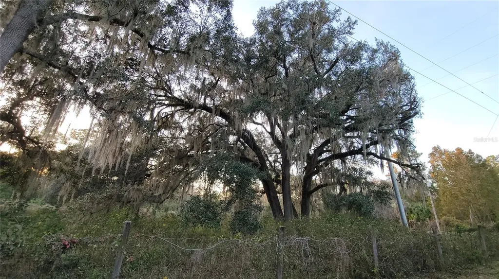 213 Clifton Road Crescent City FL 32112