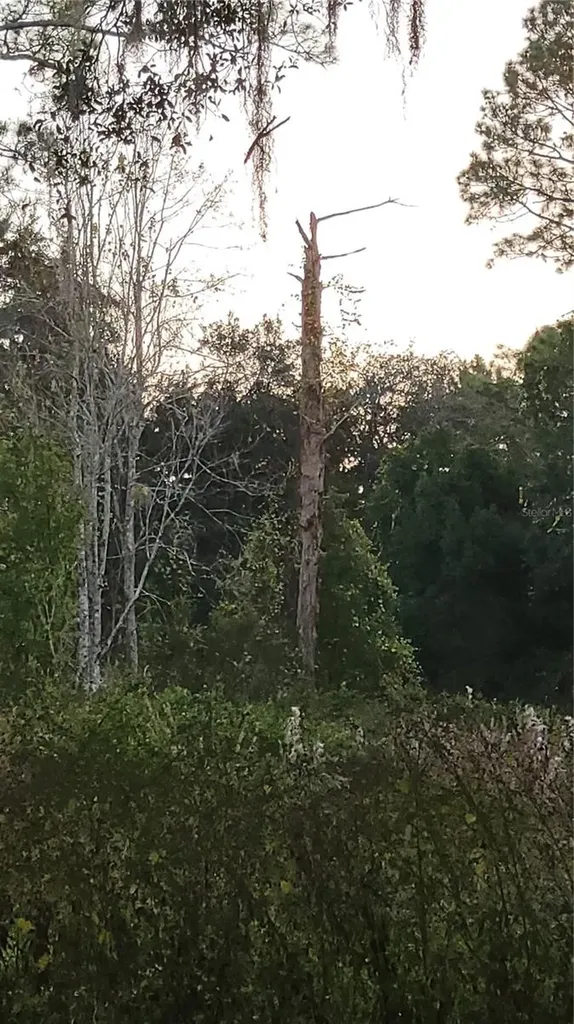 213 Clifton Road Crescent City FL 32112