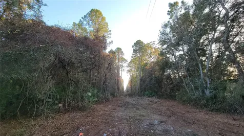 213 Clifton Road Crescent City FL 32112