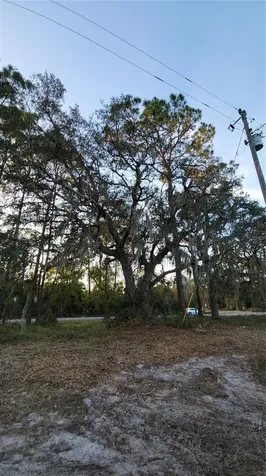213 Clifton Road Crescent City FL 32112