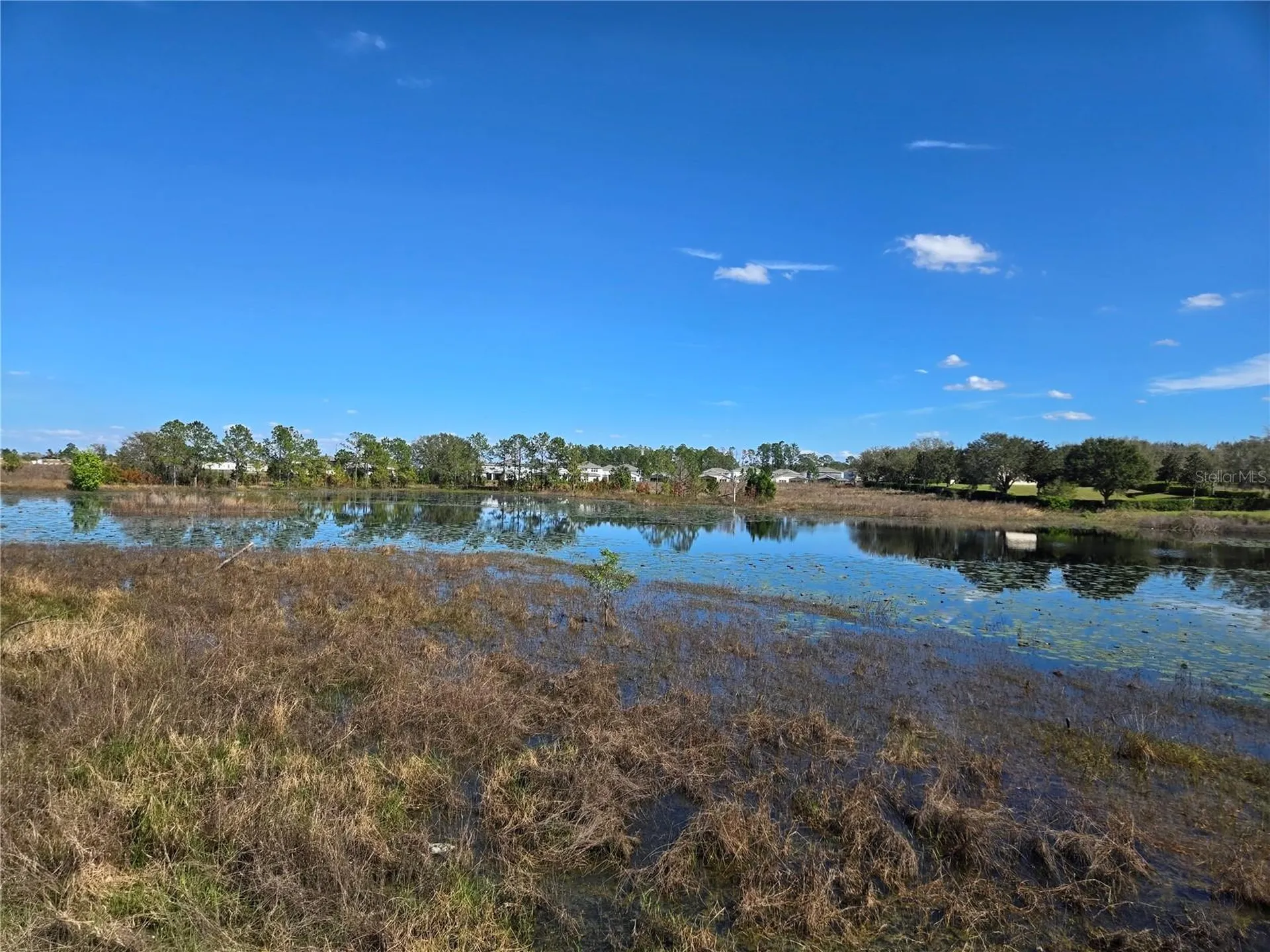 13217 Tollcross Way Winter Garden FL 34787
