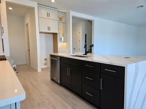 13217 Tollcross Way Winter Garden FL 34787