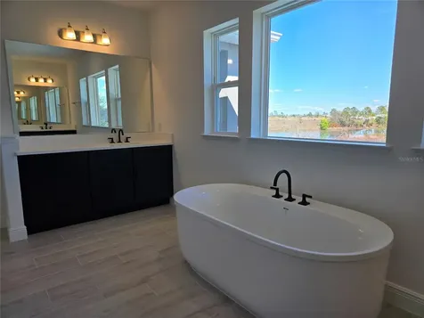 13217 Tollcross Way Winter Garden FL 34787