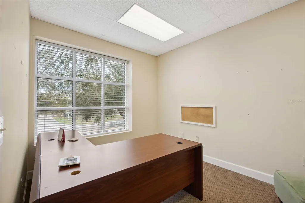 16238 N Florida Avenue Lutz FL 33549
