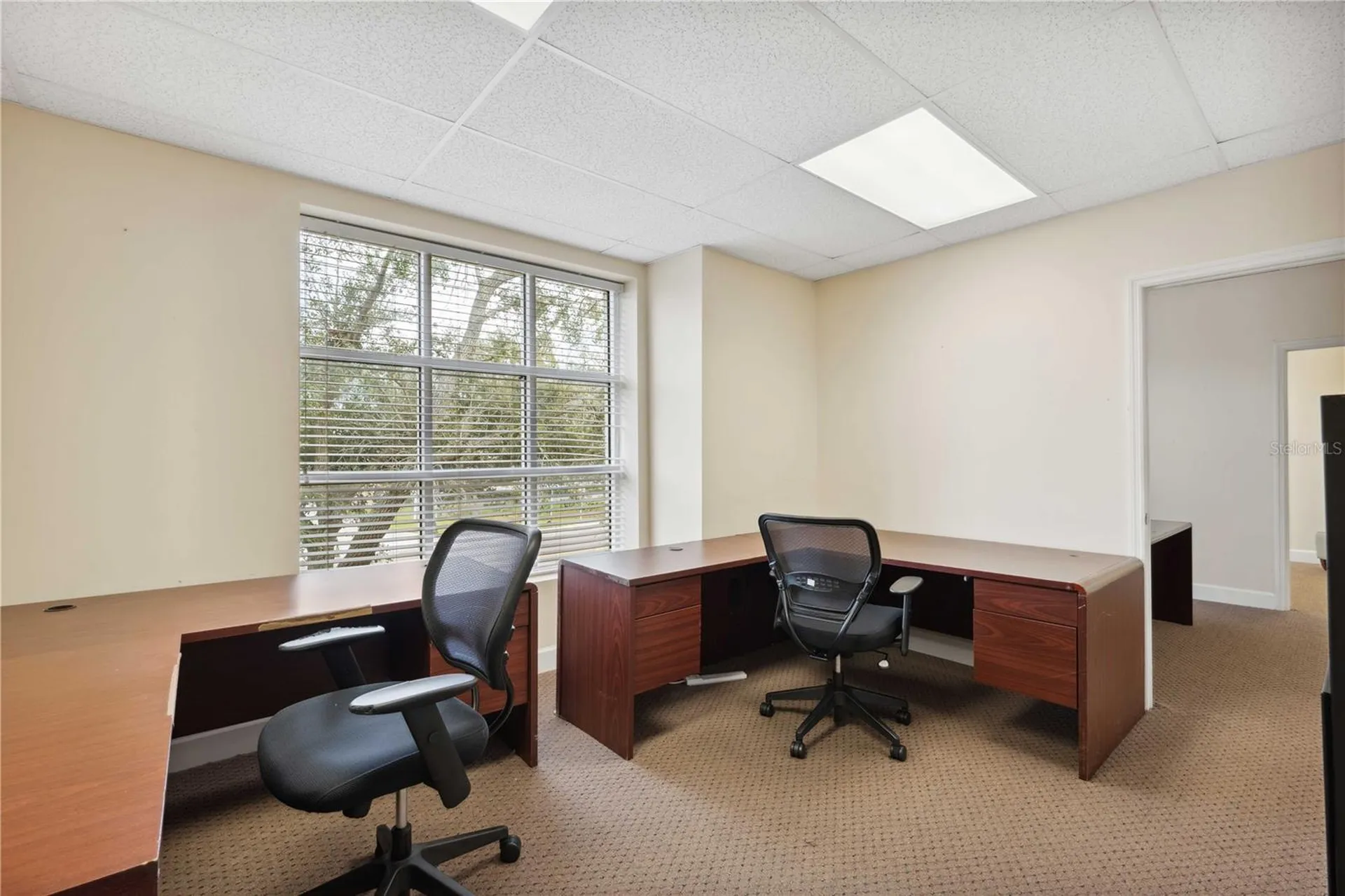 16238 N Florida Avenue Lutz FL 33549