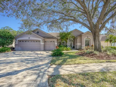 3712 Pendlebury Drive Palm Harbor FL 34685