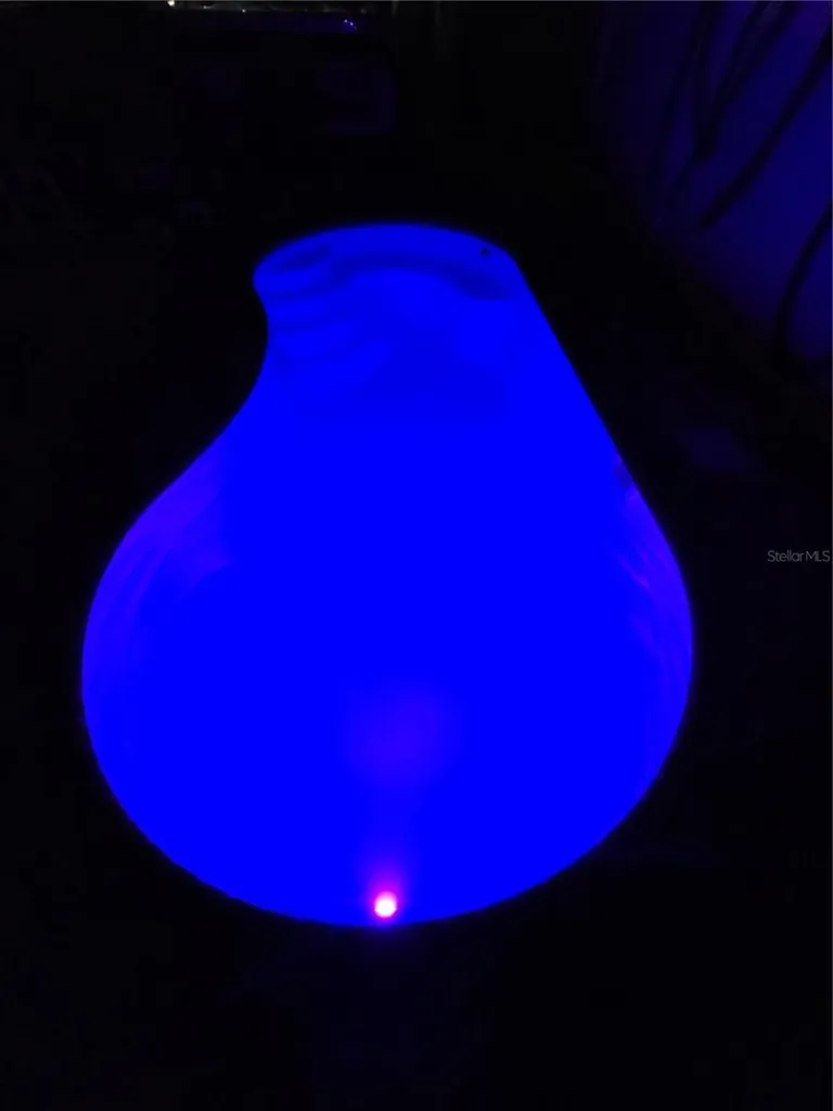 13003 Upward Place Riverview FL 33579