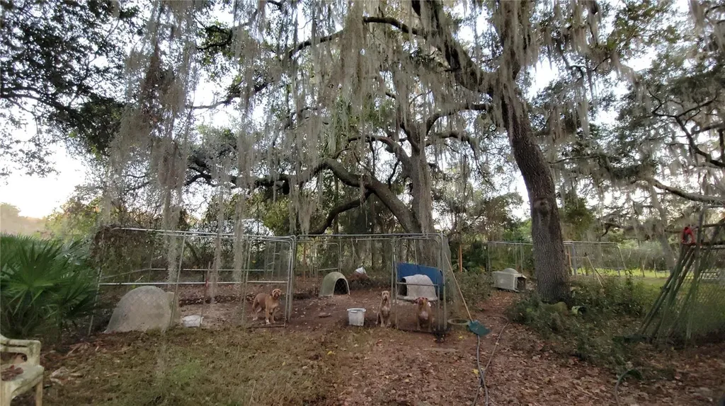 213 Clifton Road Crescent City FL 32112
