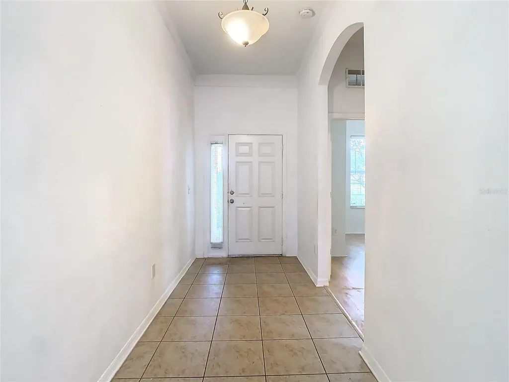 10918 Ancient Futures Drive Tampa FL 33647