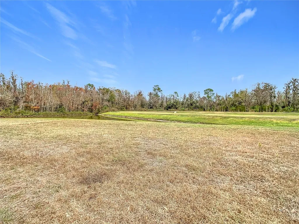 10918 Ancient Futures Drive Tampa FL 33647
