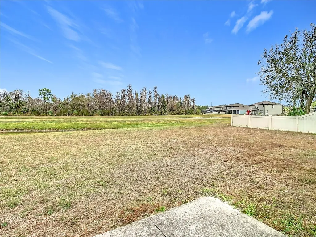 10918 Ancient Futures Drive Tampa FL 33647