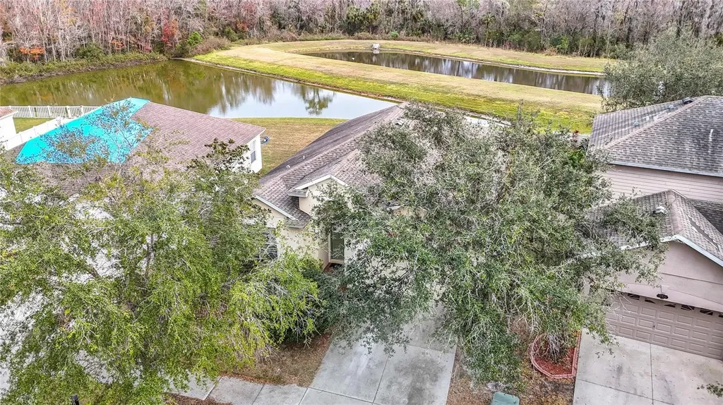 10918 Ancient Futures Drive Tampa FL 33647