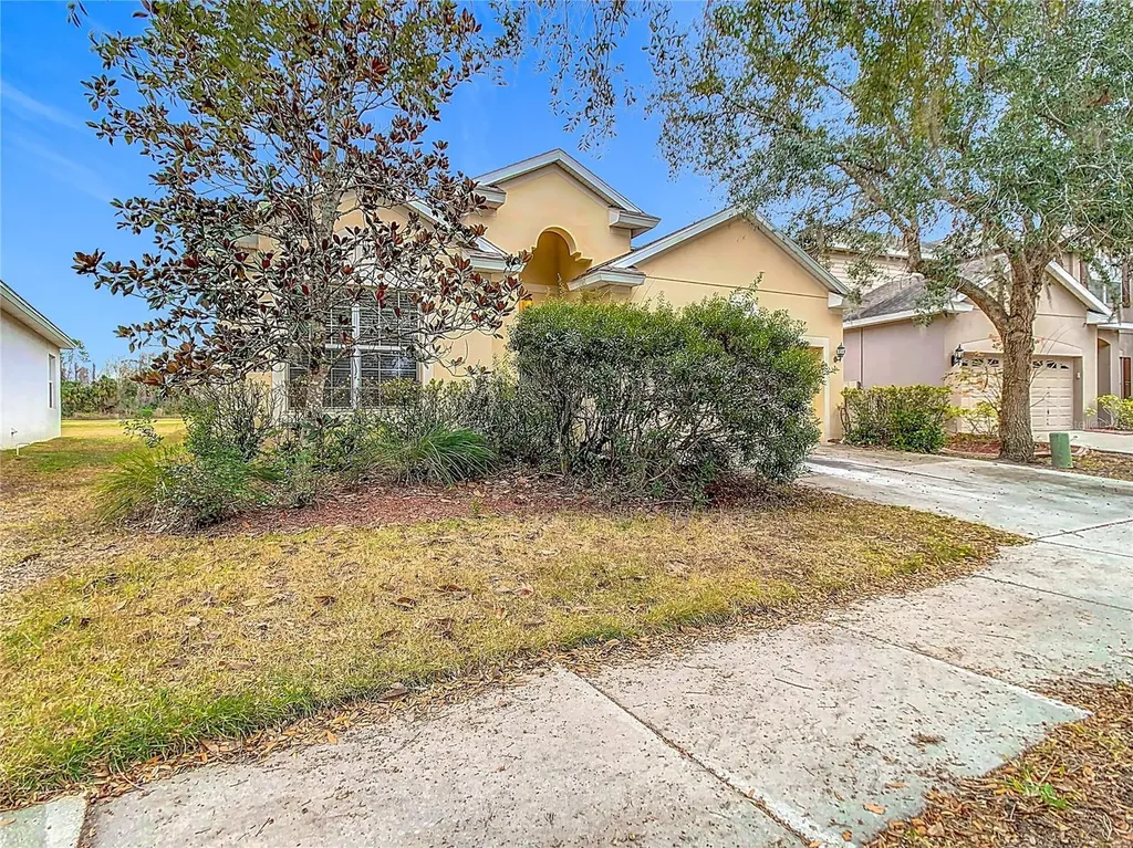 10918 Ancient Futures Drive Tampa FL 33647
