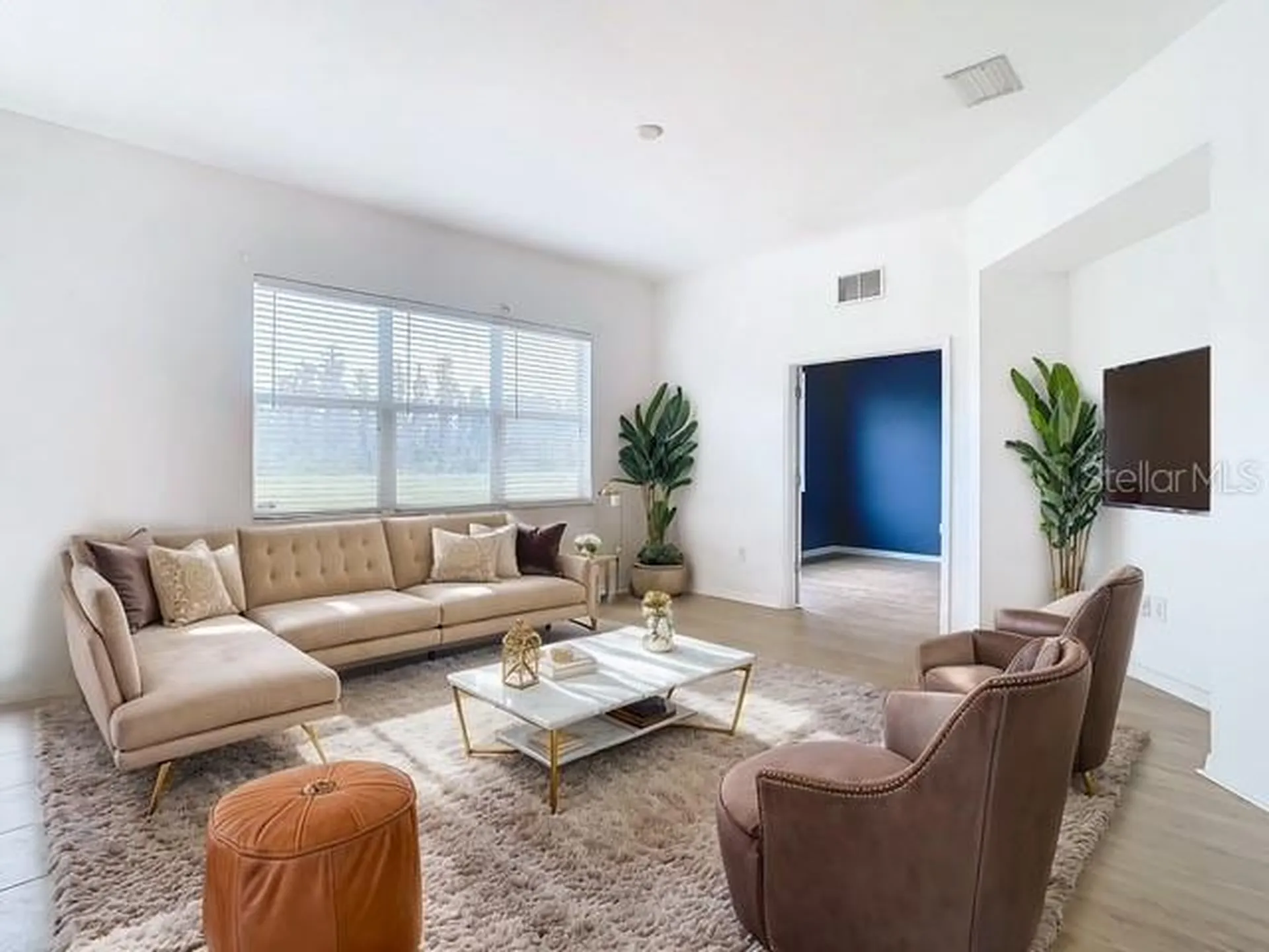 10918 Ancient Futures Drive Tampa FL 33647