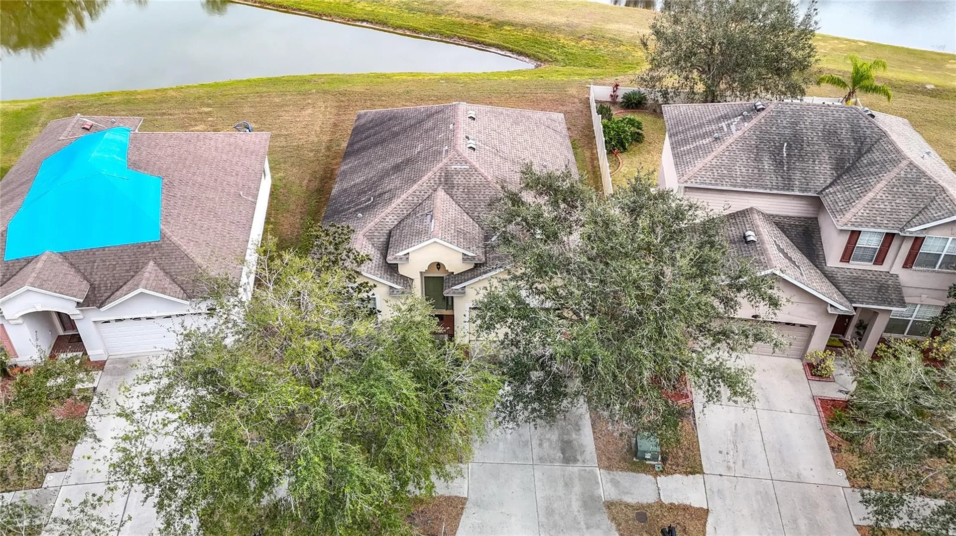 10918 Ancient Futures Drive Tampa FL 33647