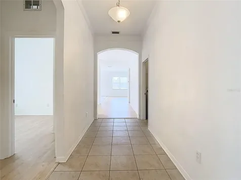 10918 Ancient Futures Drive Tampa FL 33647