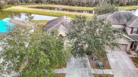 10918 Ancient Futures Drive Tampa FL 33647