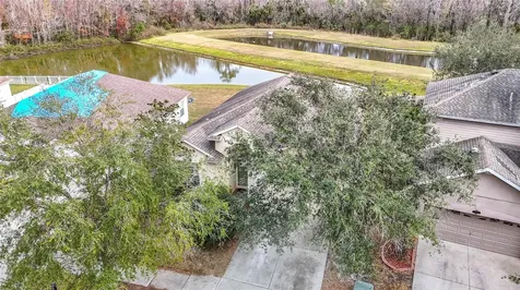 10918 Ancient Futures Drive Tampa FL 33647