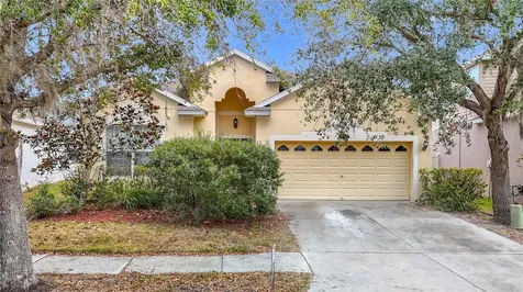 10918 Ancient Futures Drive Tampa FL 33647