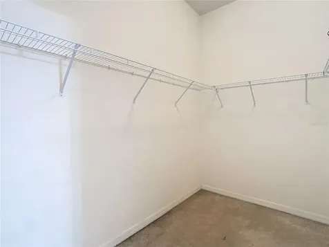 10918 Ancient Futures Drive Tampa FL 33647