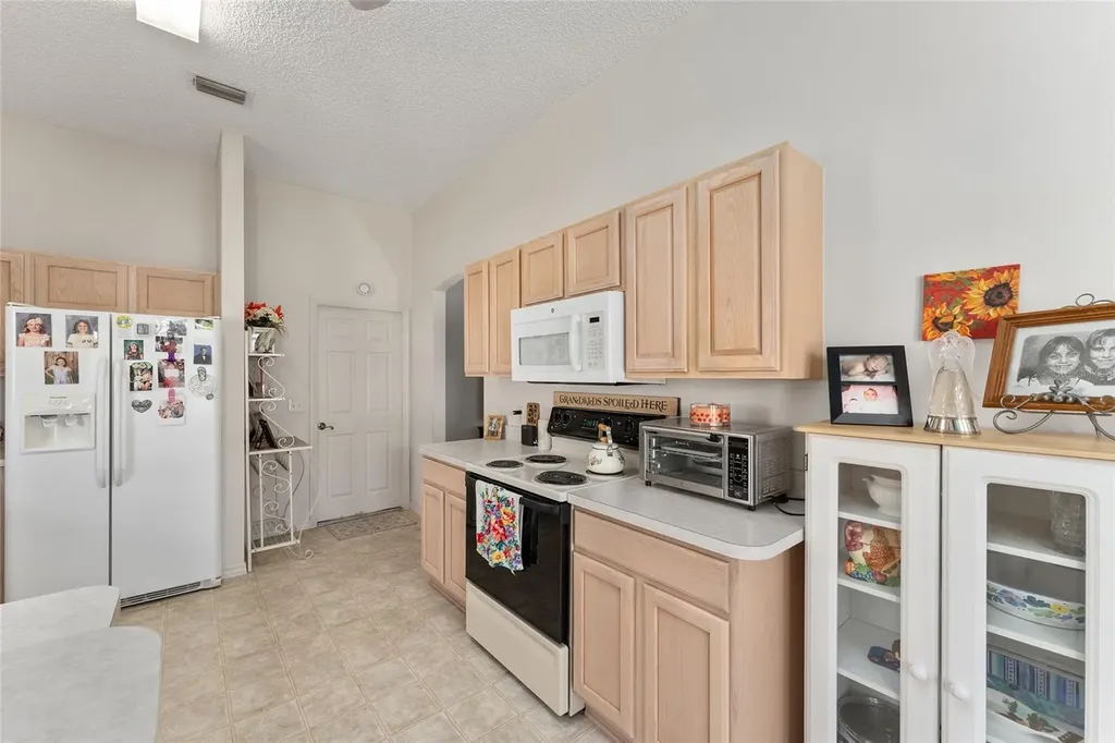 3009 Batally Court The Villages FL 32162