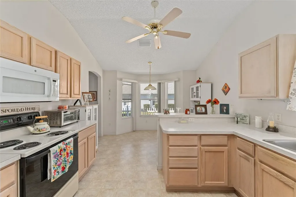 3009 Batally Court The Villages FL 32162