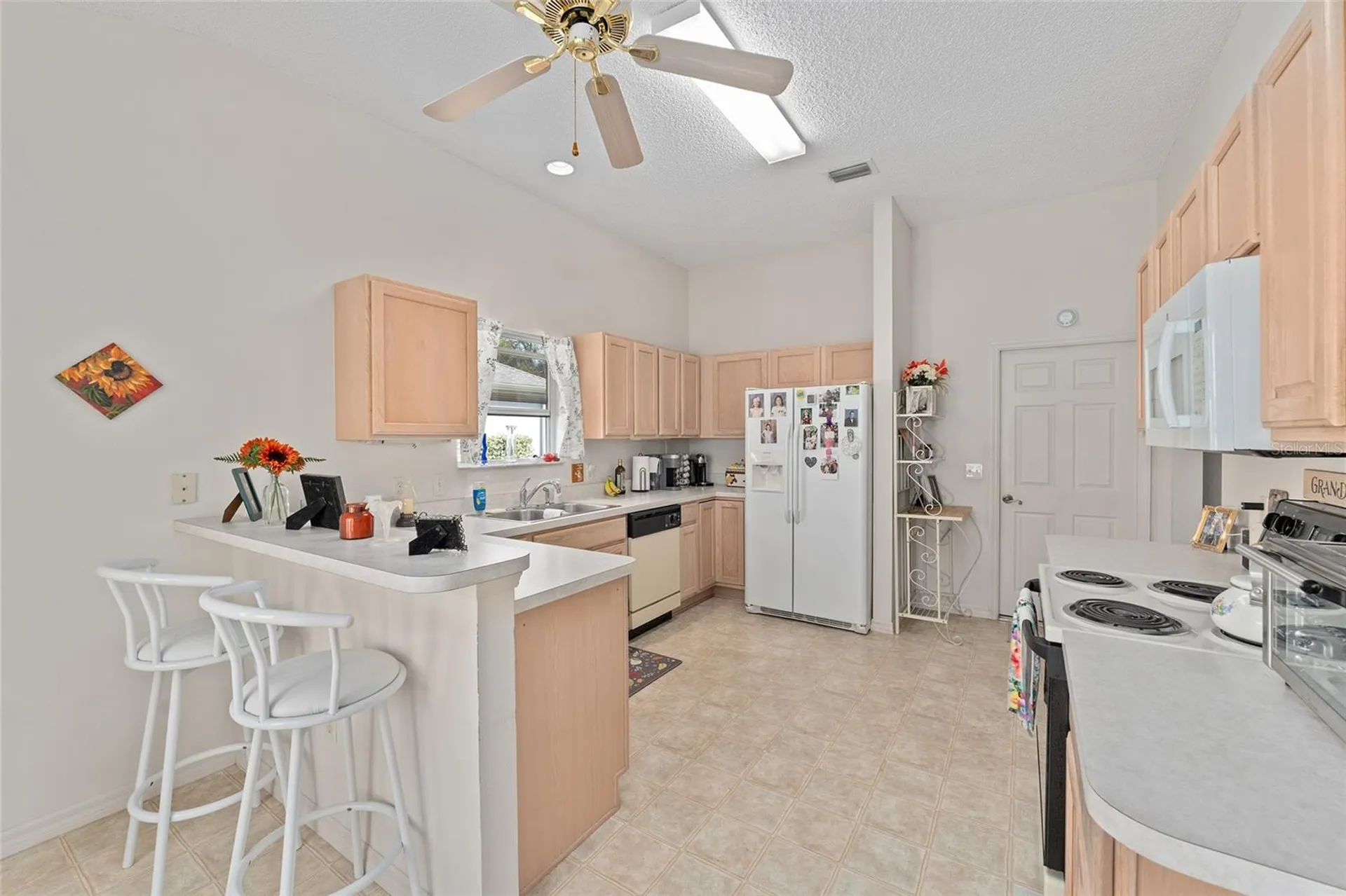 3009 Batally Court The Villages FL 32162