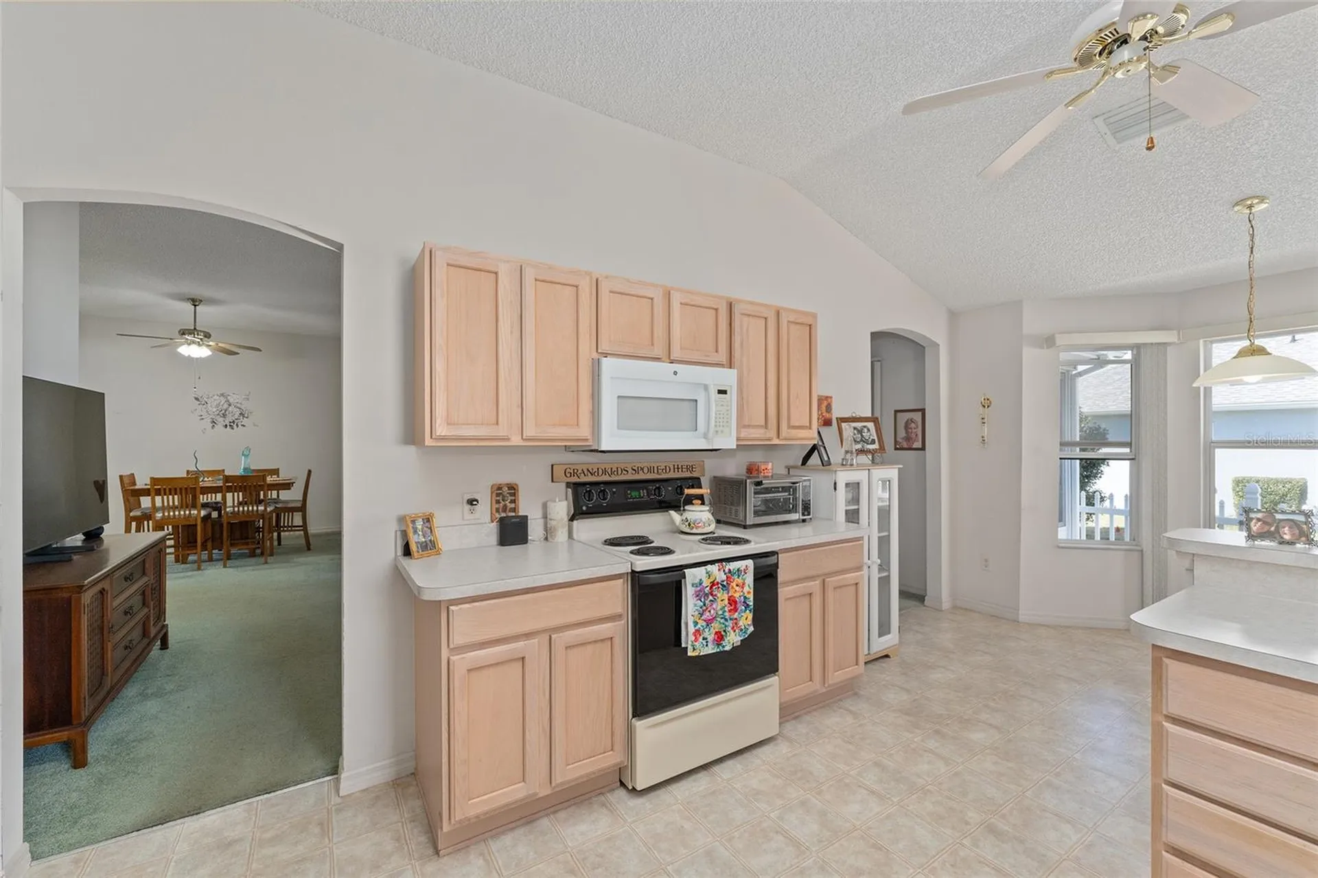 3009 Batally Court The Villages FL 32162
